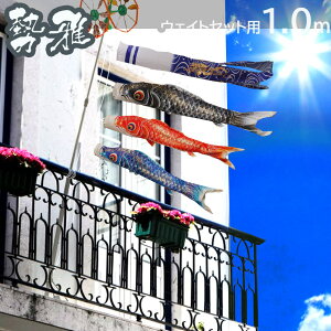 y11/20`27ԌISi|Cg3{Iẑڂ ̂ڂ X^hZbg  yz1m V x_pEFCgZbg ̂ڂ ƖEO\y