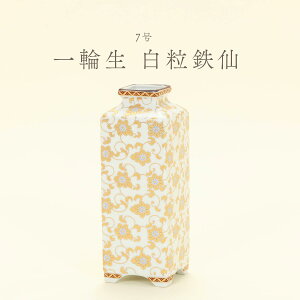 yyVSSGg[őSiP10{IzJ ԕr 7 ֐ S k8-1246 { Mtg v[g 蕨 `H|i {݂₰ ̓ ̓ Ol {yY t[x[X a