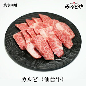 Ăp Jr 300g 䋍 Ⓚ uh  {錧Y   蕨 av[g j j  ݂ȂƂ