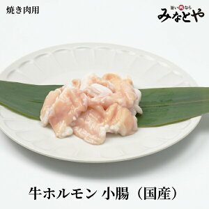 Ăp z  250g×2pbN Ⓚ Y  ē 񂹃O ݂ȂƂ  X z