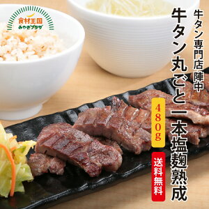 ^ n ؂ 䖼 480g Mtg ۂ {  n  ē w {  GM-70 Ε Ε