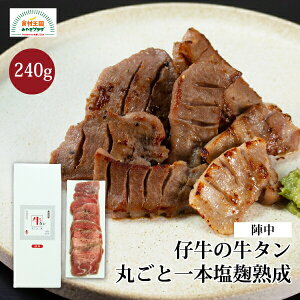 ^ e n ؂ 䖼 240g Mtg ۂ {  n  ē w {  KM-50