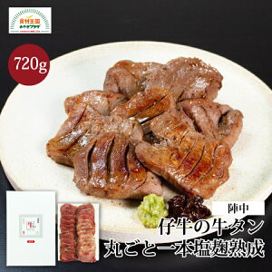 ^ e n ؂ 䖼 620g Mtg ۂ {  n  ē w {  KM-100 Ε Ε