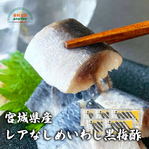 AȂ߂킵 ~| 5×5 ^킵 ӂ | ܂  pX^ {錧Y  CV T_  Ί { Mtg 蕨 ̓ ̓  hV̓ Ε {cY