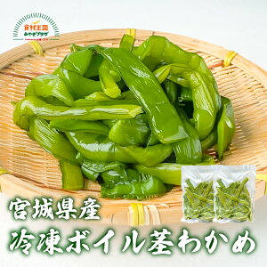 Ⓚ{C s킩 500g×2  Ⓚ 킩 J sJ VN RR T_AX` uߕ ώ {錧Y Ί { Mtg 蕨 ̓ ̓  hV̓ Ε {c