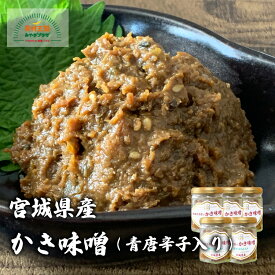 かき味噌 青唐辛子入 100g×5本 宮城県産 冷凍 送料無料 ごはんのおとも 豆腐 肉 濃厚 牡蠣 かき 石巻 宮城 ギフト 贈り物 母の日 父の日 中元 敬老の日 御歳暮 本田水産