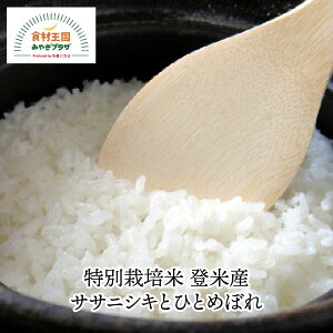 TTjVLƂЂƂ߂ڂ e2kg ʍ͔| oĎY Hה _ w엿 5ȉ  ۑS 炩Ȑ Lȑn ؂ɈĂꂽă}LčX  o {