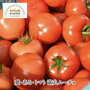 EEg}g xۃ[` ʃg}g 4kg 18`28 퉷 e Ƃ܂ Ö _ ܖ M VsJ[ht fE[tfk { Ί 