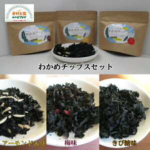 킩߃`bvXZbg 킩 Y F {  ܂ pp H A[h xmY