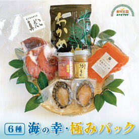 南三陸 海の幸 極み 6種 詰め合わせ 海のお宝パック 冷凍 送料無料 あわび いくら 汐うに スモークサーモン わかめ 塩蔵 真だこ 宮城 お取り寄せ 海産物 たみこの海パック たこ タコ ギフト 贈りもの 母の日 父の日 中元 お歳暮