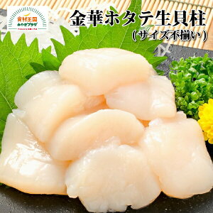 ؃z^eL TCYs 400g Ⓚ  Â| ق  {錧 Ί  }L