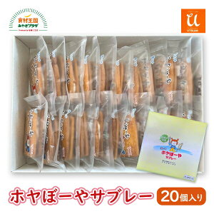 zځ[Tu[ 20 1 pC zCgN[  C َq܂ Tu { CsYU  