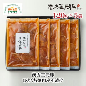 O ЂƂ ē ݂Ђ 120g 5 PT-34 Y _C`  { I z  ̓ ̓ hV̓ Mtg