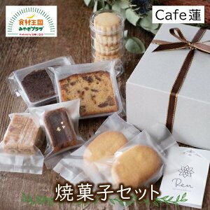 ĉَqZbg 6 ΊY |{ ɒB̎| GKfB[i Yag̃eBO ij̃o^[Th gVVR t[cP[L Cafe@ Ί { Mtg 