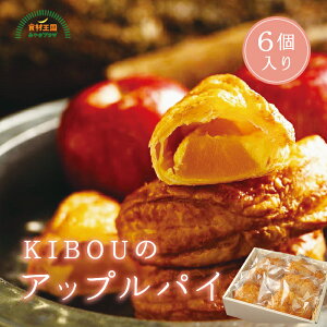 AbvpC 6 KIBOŨAbvpC  jY Ƃ낯 Visgp JX^[h@`[YN[ dqW Mtg  create company