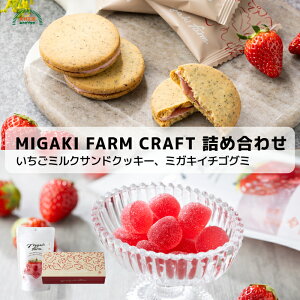 ミガキファームクラフトセット いちごミルクサンドクッキー 4個入 ミガキイチゴグミ 15粒入 送料無料 常温 ギフト 贈答 バレンタイン ホワイトデー プチギフト ミガキファームクラフト ミガ