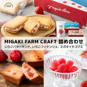 ~KLt@[NtgZbg o^[Th 4 tBiVF 4 ~KLC`SO~ 15  퉷 Mtg  o^C zCgf[ v`Mtg ~KLt@