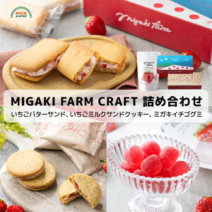 ~KLt@[NtgZbg o^[Th 4 ~NThNbL[ 4 ~KLC`SO~ 15  퉷 Mtg  o^C zCgf[ v`Mtg ~