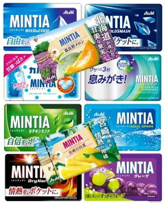 �~���e�B�A mintia �S10�� �l�ߍ��킹 500�� ��e��