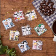 PEANUTS - SNOOPY - パッケージチャーム ＆ チョコボーロ 5個バラ ( 食玩 ) バンダイ ( BANDAI )