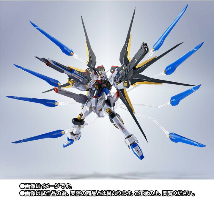 楽天市場】METAL ROBOT魂 ＜SIDE MS＞ ストライクフリーダムガンダム 