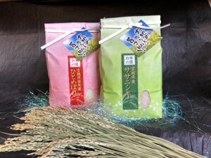 V ЂƂ߂ڂꐸ2Kg×1 TTjVL2Kg×1 Zbg  ϑܓ ߘa7Nx{錧YyE1000~ZzykCEB͕ʓr400~Zz