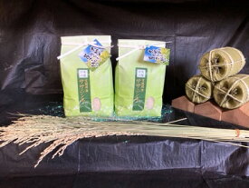 米 ササニシキ精米2Kg×2袋セット 白米 化粧袋入り 令和7年度 宮城県産【沖縄・離島は1000円加算】【北海道・九州は別途400円加算】
