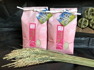  P2kg×2  ϑܓ ߘa7Nx {錧Y @yE͕ʓr1000~ZzykCEB͕ʓr400~Zz