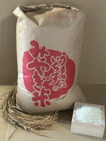 米 もち米 みやこがねもち 精米 27Kg 令和7年度 宮城県産 送料無料 【沖縄・離島に関しては別途送料2800円加算】【九州・北海道は別途送料800円加算】