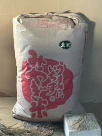 米 玄米 もち米 みやこがねもち 玄米 30Kg 玄米 令和7年度 宮城県産 送料無料 【沖縄・離島は別途送料2800円加算】【九州・北海道は別途送料送料800円加算】