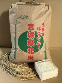 米 つや姫 精米 27kg 白米 令和7年度 宮城県北産 送料無料 【沖縄・離島は別途2800円加算】【九州・北海道は別途送料800円】