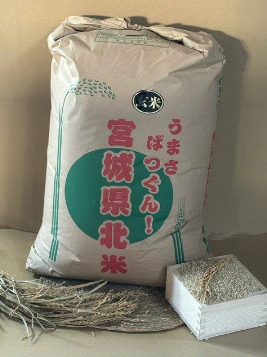 楽天市場】新米 ひとめぼれ 玄米30kg 令和6年度 送料無料 宮城県 