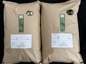 米 玄米 ササニシキ玄米20kg（10kg×2袋）令和7年度 宮城県北産【沖縄・離島は送料別途2500円】【北海道・九州は送料別途700円】