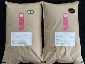 米 玄米 つや姫玄米20kg（10kg×2袋）令和7年度 宮城県北産【沖縄・離島は送料別途2500円】【北海道・九州は送料別途700円】