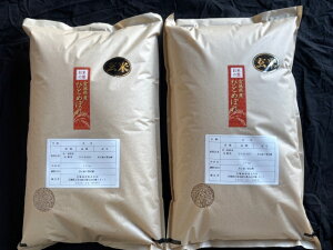  ЂƂ߂ڂꌺ20kgi10kg×2܁jߘa7Nx {錧kYyE͑ʓr2800~zykCEB͑ʓr800~z