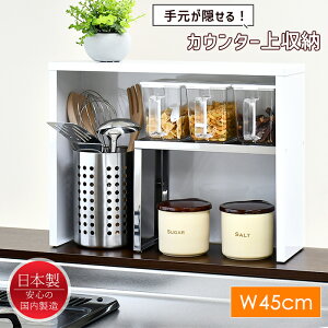 [Sipt5{!HptAbvLy[10/31 2359܂] JE^[[ bN Lb`bN XpCXbN X  45cm {