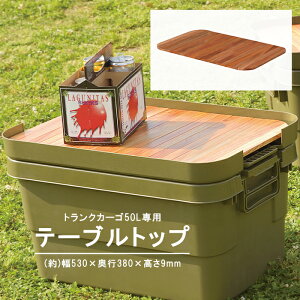 [pt5{!11/11`11/20 19:59] gNJ[S e[ugbv V 50Lp VR [obOt ^  ȈՓI ؐ DIYdグ [ AEghA Lv ނ