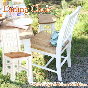 [~pt5{Ly[!!12/4 19:59܂] _CjO`FA[ ʍ43cm ؐ Jg[ zCg 킢 Vv i` t`eCXg Vr[VbN ؖڕ ֎q K[[