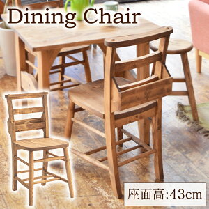 [10%OFF!yVX[p[SALE 12/4 20:00`12/11 1:59] _CjO`FA ʍ43cm 40cm ؐ`FA[ ֎q k  G[t IȂ VR Jg[ Vv AeB[N VR