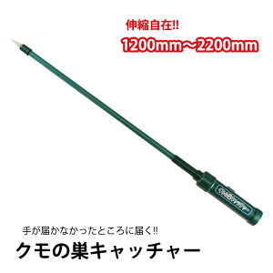 [|Cg10{!11/1`11/3] N̑Lb`[ w偂̑ ̑ Lk dr