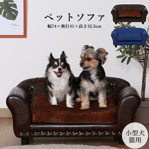 [N[|zzpt5{!ubNtCf[11271:59܂] ybgxbh ybgp NbV ybg\t@ `FX^[tB[h 