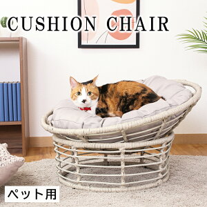 [Sipt5{!10/17 1810/24 20܂] NbV`FA ybgp ybg`FA ybgxbg Lp 