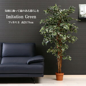 [~pt5{Ly[!!12/4 19:59܂] ϗtA tFCNO[ 170cm lHϗtA CeA  ^  CeAO[ A A