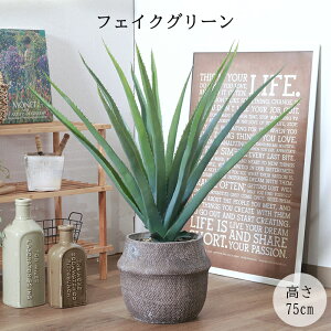 [Sipt5{!HptAbvLy[10/31 2359܂] tFCNO[ AG M Zg|bg ϗtA   