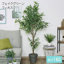 楽天市場】フェイクグリーン 160センチの通販