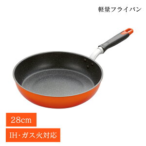 [N[|zzpt5{!ubNtCf[11271:59܂] tCp 28cm [^ KX IHΉ тɂ etv`i }[uH