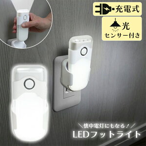 [Sipt5{!HptAbvLy[10/31 2359܂] hЃCg LEDCg [d d΍   LEDǃz^ 铔 d h RITEX