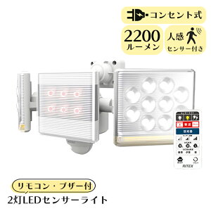ZT[Cg O hƃCg 12W×2 t[A[ LEDCg Rt  K[W Ɩ RITEX