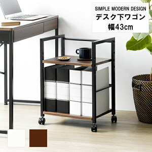 [|Cg10{!11/1`11/3] fXNS LINZ 43×s30.5×60cm S LX^[t [  jO 1l炵