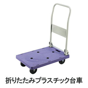 [yVX[p[SALEpt10{N[|]  ܂肽ݑ y RpNg É ω׏d100kg ^ ȉ  LX^[ 艟 ^ ^ Vv